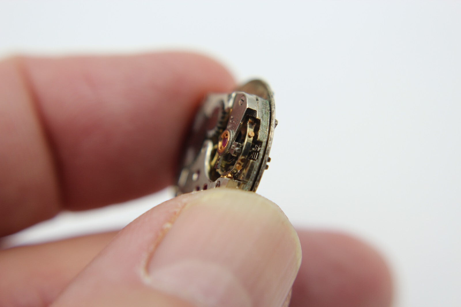 Image #6