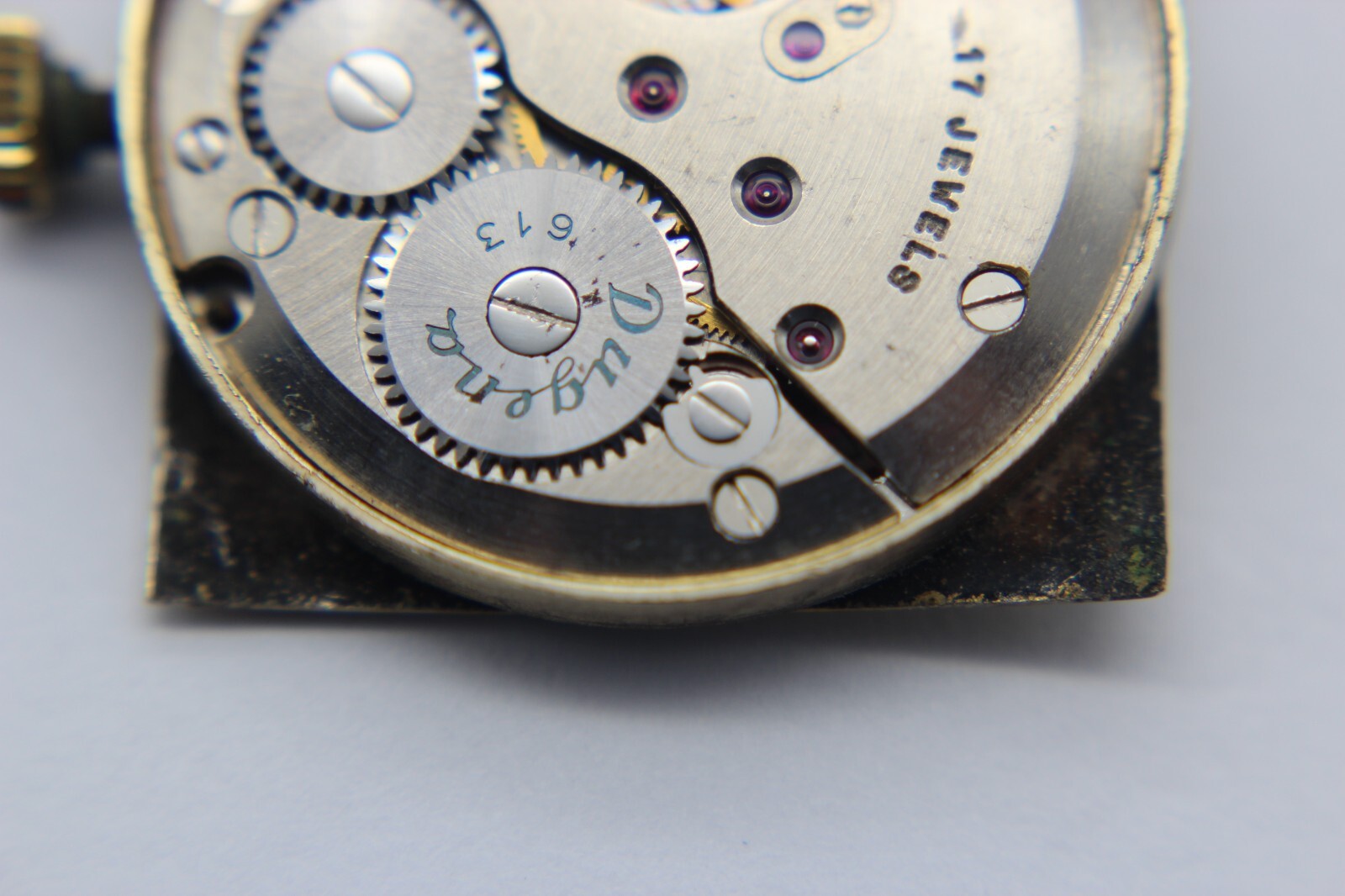 Image #12