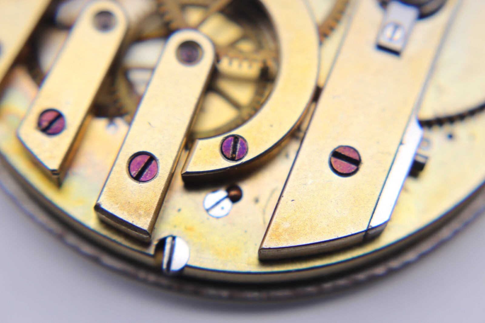 Image #12