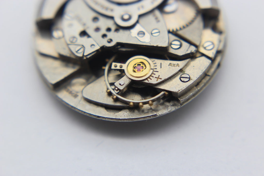 Image #10