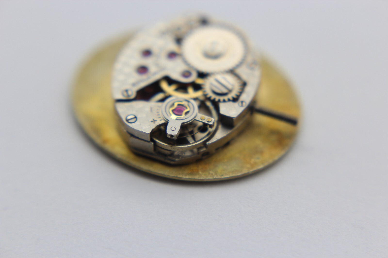 Image #7