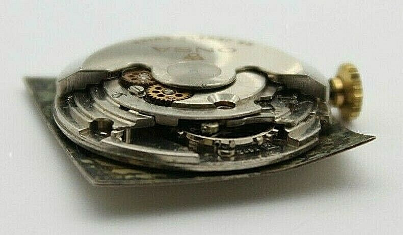 Image #7