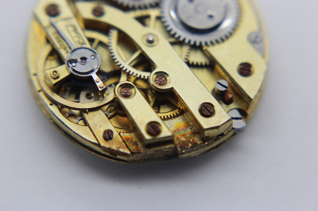 Image #11