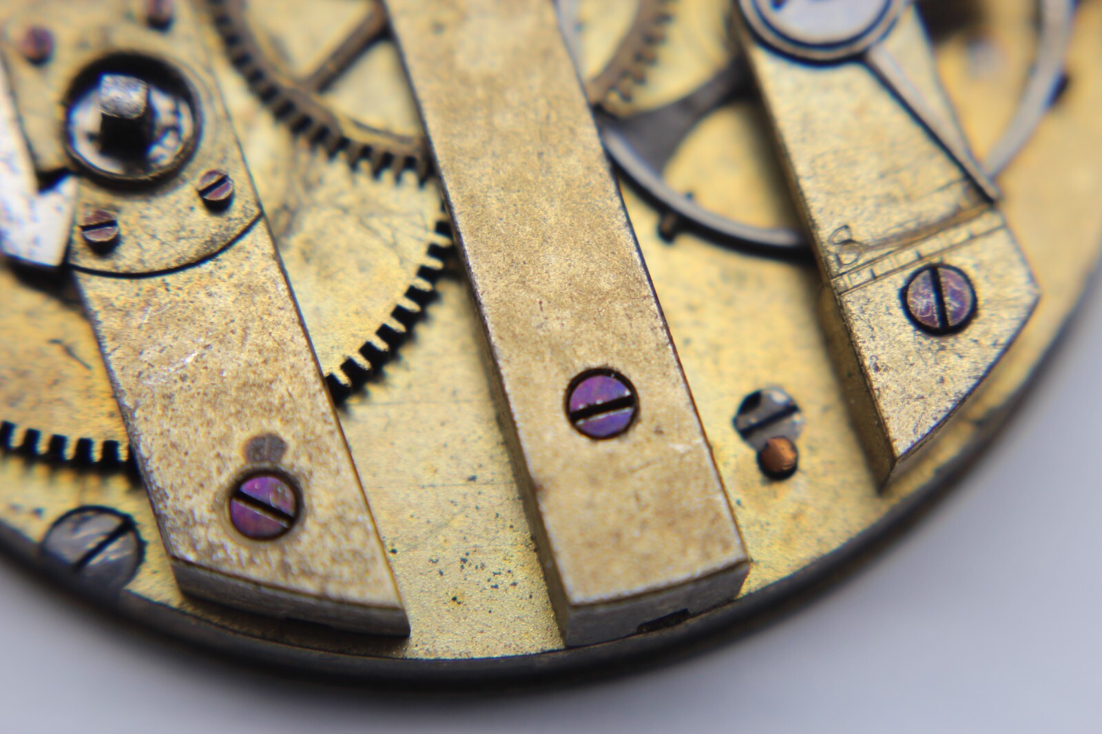 Image #13