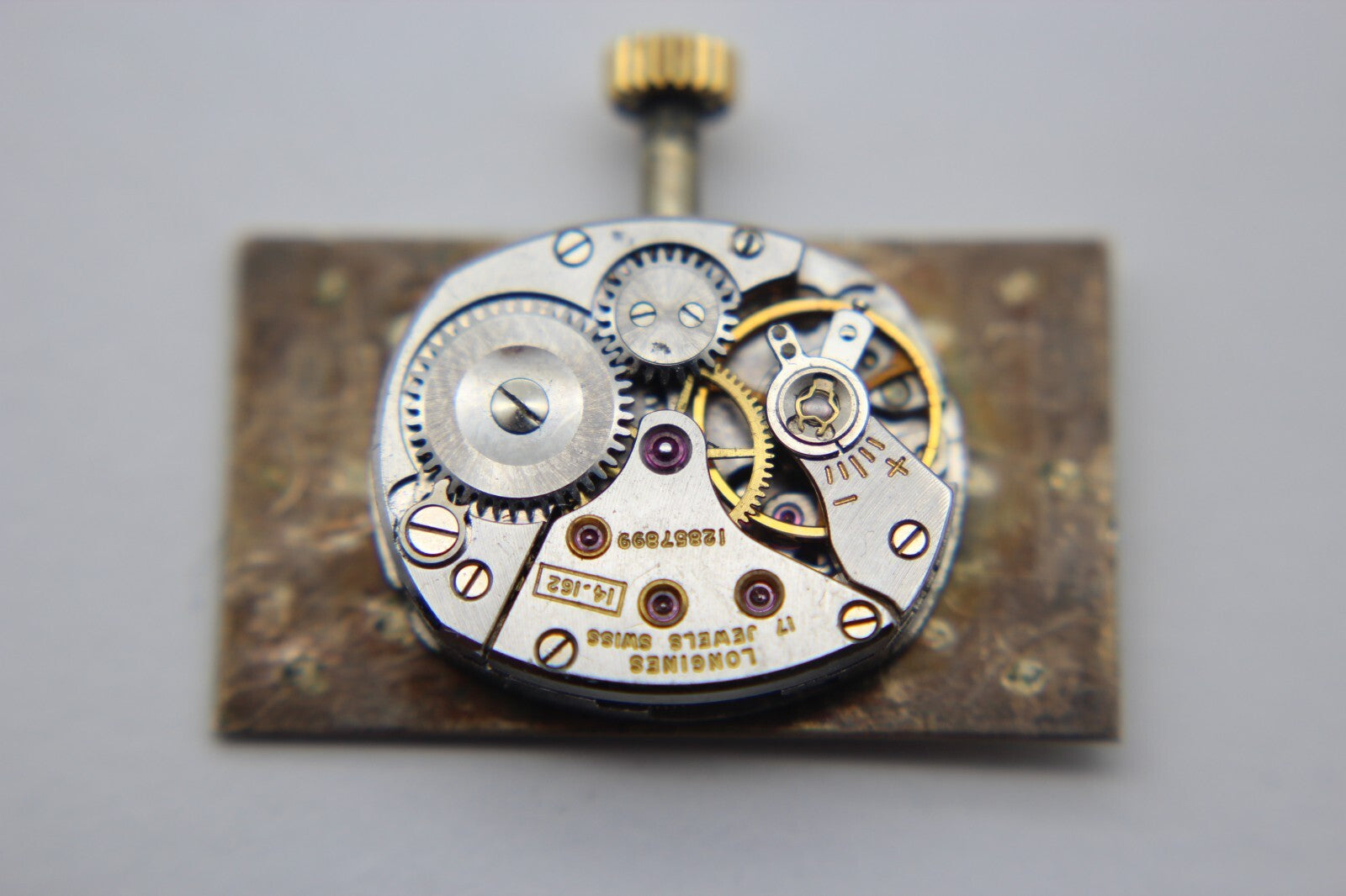 Image #7